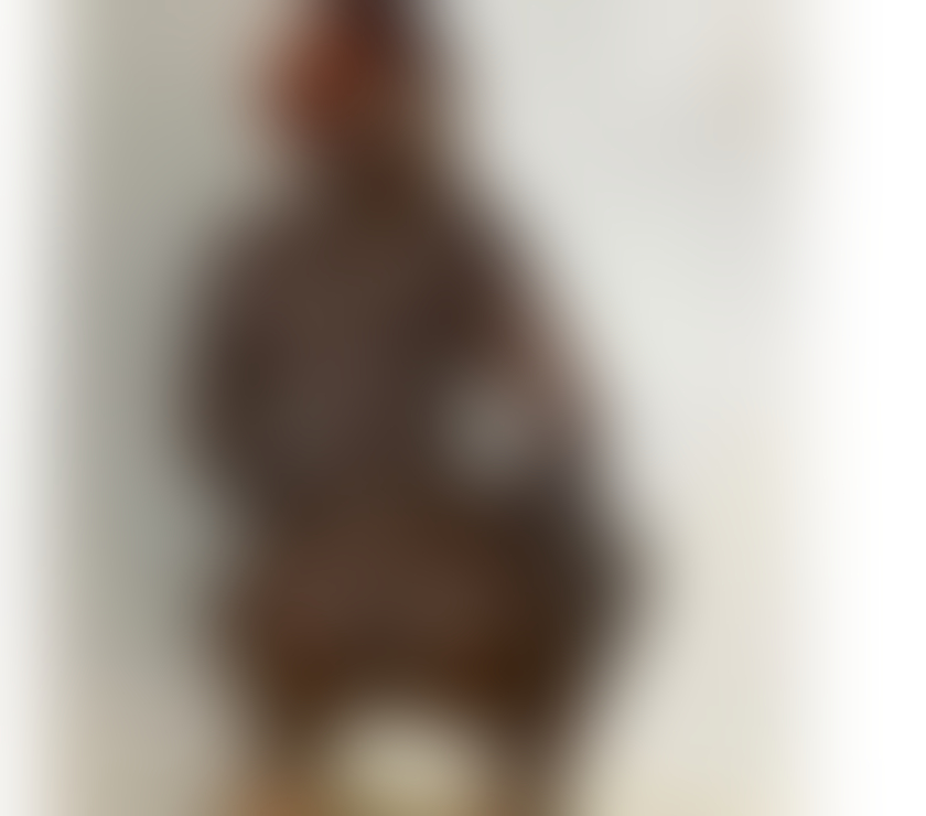 Escorts Dundee Dundee City Centre - Dundee - Photos for Ebony queen from Uganda beat a-level GFE French kiss owo